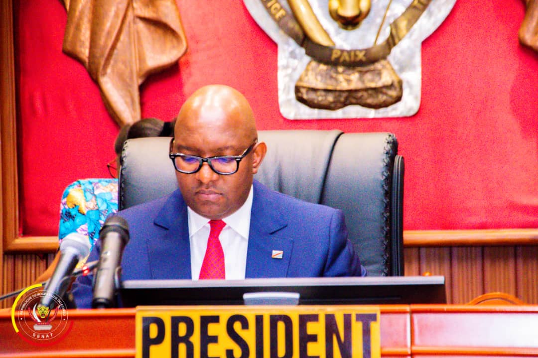 RDC:les sénateurs poursuivent la mise en place des commissions permanentes