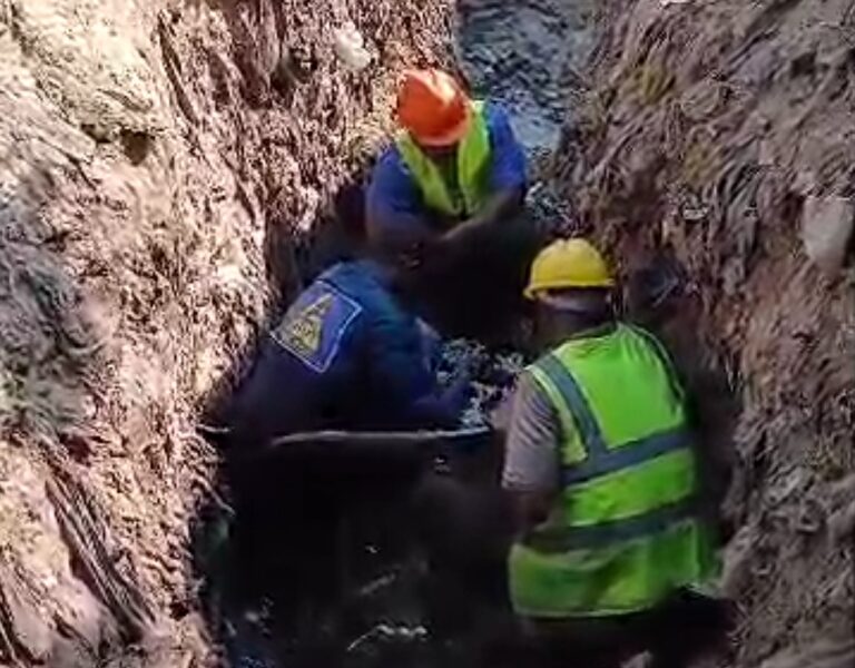 Énergie/Kinshasa: remise en service du premier tronçon du départ Kabinda par les équipes de la SNEL