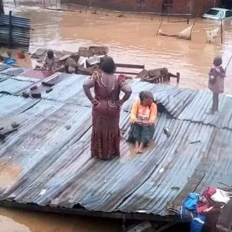 Qu&rsquo;avez vous fait de Léo ?