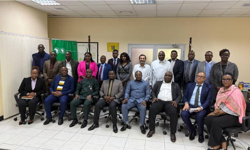 Vers une meilleure intégration énergétique : la SNEL et la BAD à l’œuvre pour relier la RDC et la Zambie