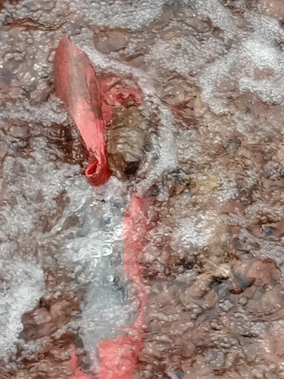 Kinshasa : les travaux de l’entreprise GREC 7 plongent les commmunes de Kasavubu, Ngiri-Ngiri et Kalamu dans le noir