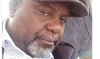 Musique : Ping Pong, l’ombre lumineuse de Viva la Musica(illustration audio)