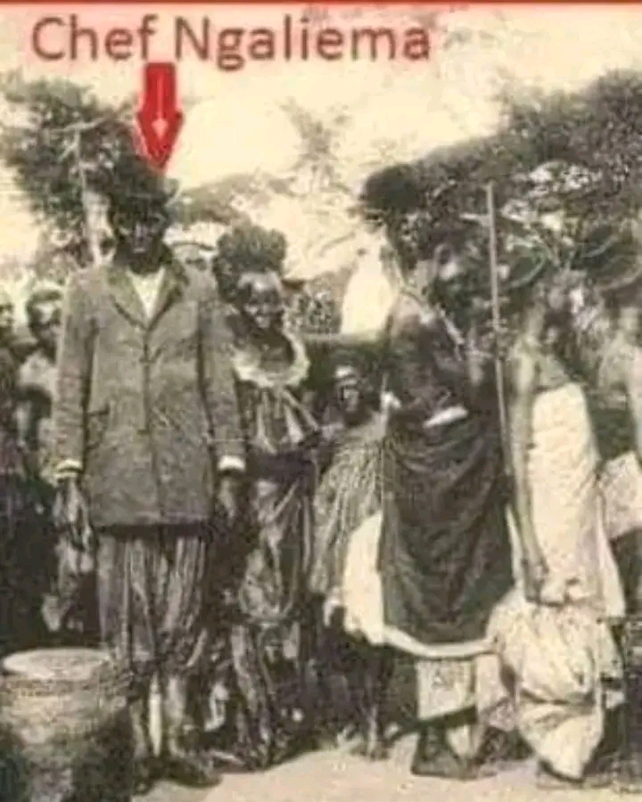 Page d’histoire : Chef Ngaliema (Ngalyema) et la région de Kinshasa